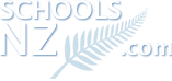 SchoolsNZ.com logo